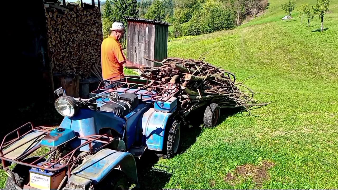 Village Life: Father and Son Chopping Firewood