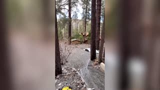 Homes and cars buried after fierce storm hits California