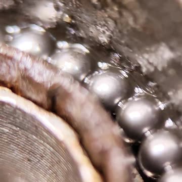 The freewheel bicycle mechanism inside.