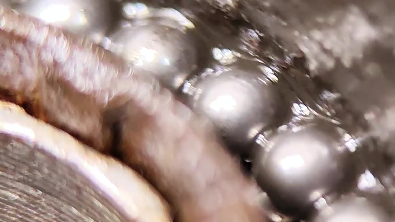 The freewheel bicycle mechanism inside.