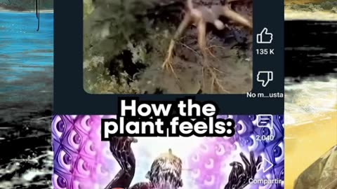 Just shorts videos 😜 #shorts #viralvideos #trending #funnyshorts #shortsfeed #memes #funny #anime