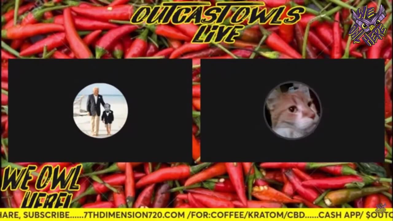 music biz marty vs schmeckle cat [Outcastowls stream]