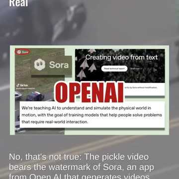 Fact Check: Video Of Police Chasing Person In Pickle Costume Is NOT Real