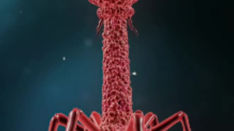 AI INFECTION THE SQUID VAMPIRE