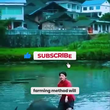 This Changes Everything Floating Rice Farms!