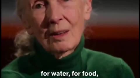 Netflix secretly recorded an interview with Dr. Jane Goodall