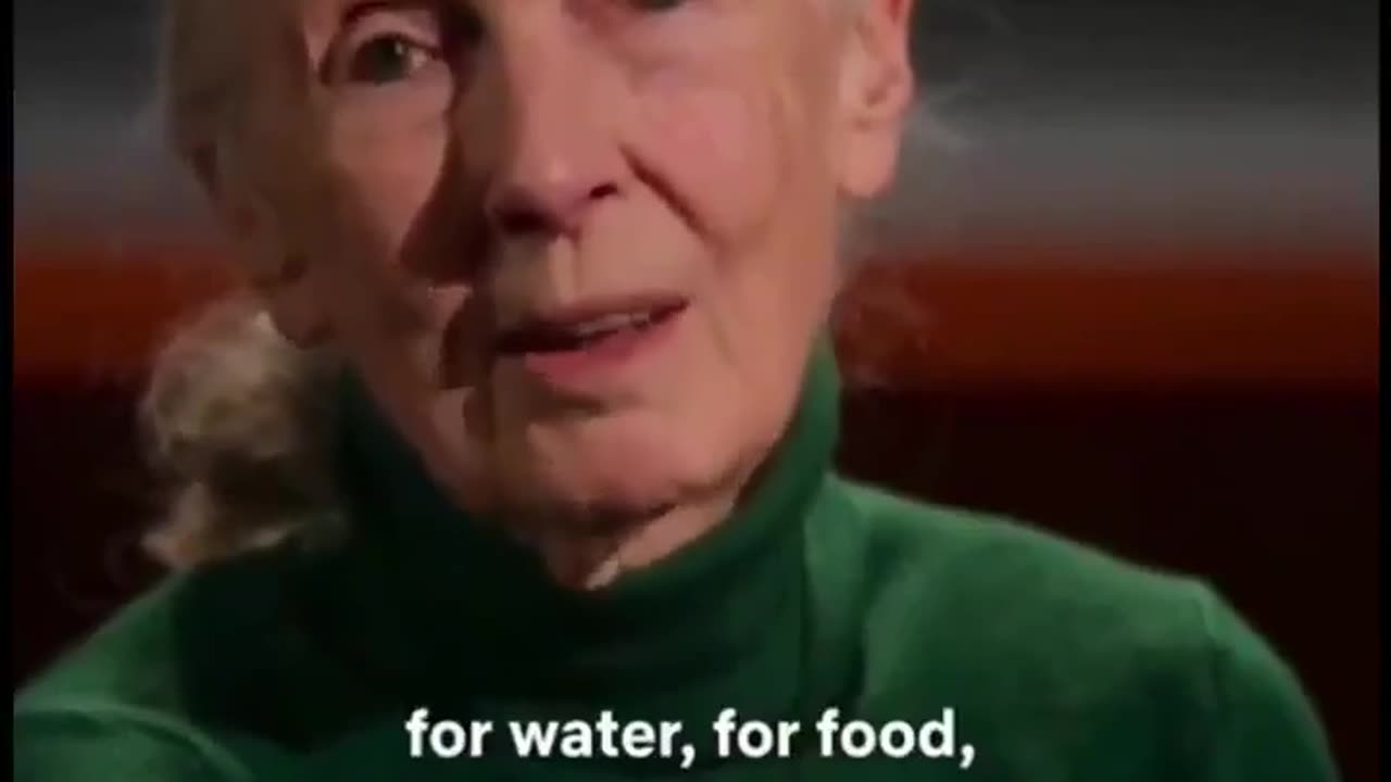 Netflix secretly recorded an interview with Dr. Jane Goodall