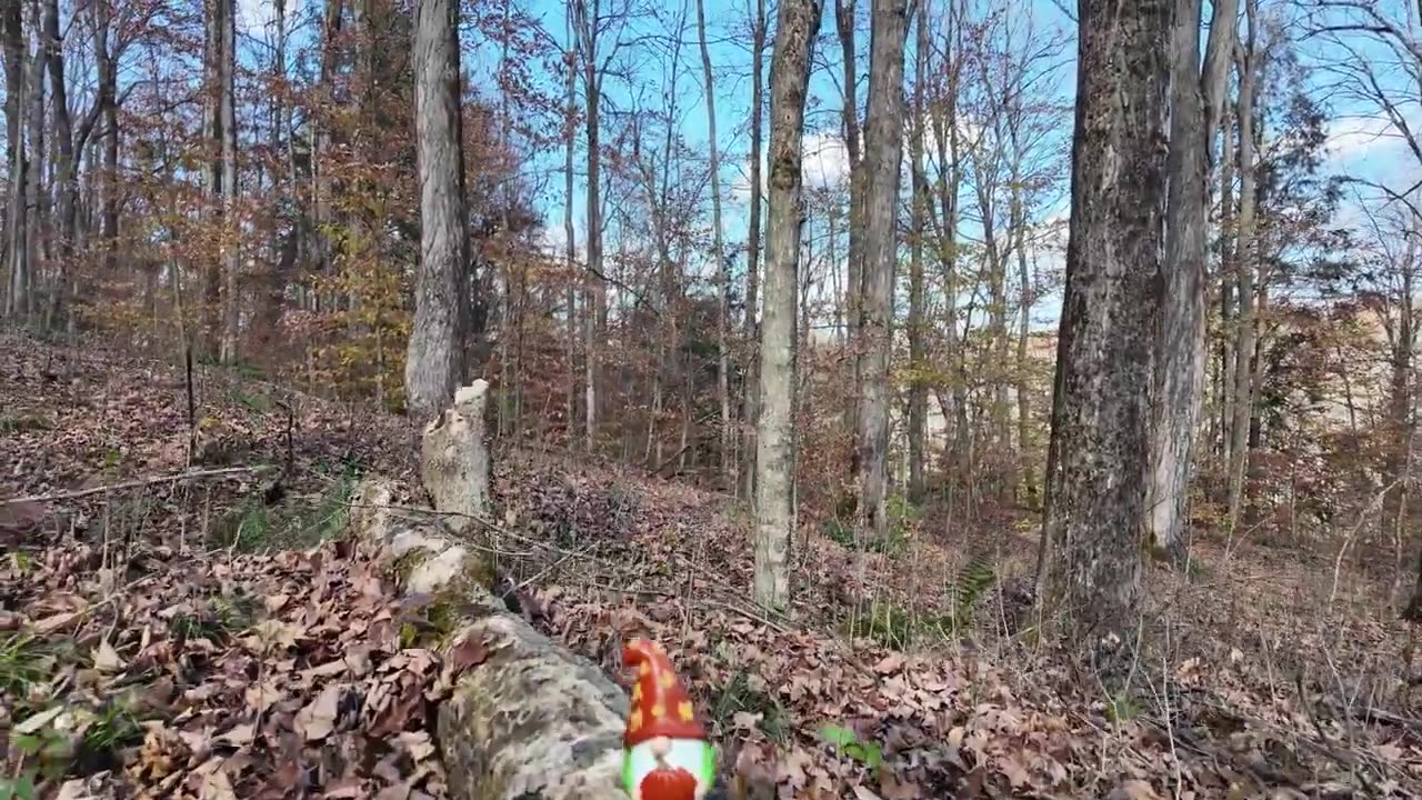 on the Finger Lakes Trail