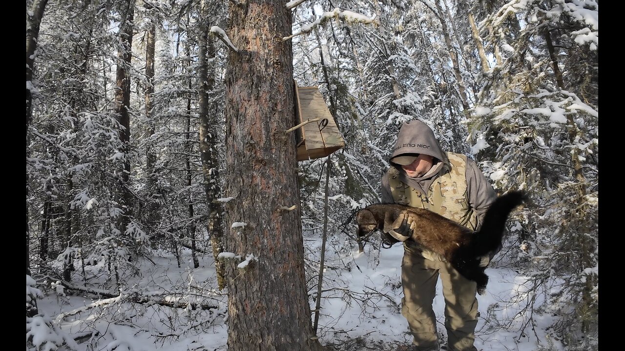 Trapping Dec 1st-20th 2025