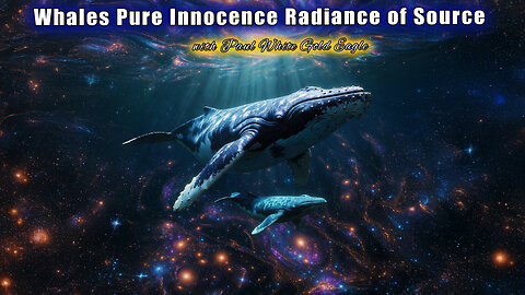 The Whales Pure Innocence Radiance of Source Plasma Coded Light 🕉 Lyran Collective of Elders 🕉