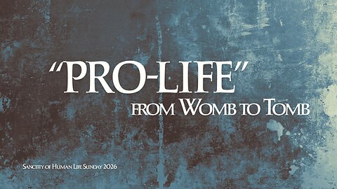 "Pro-Life" from Womb to Tomb