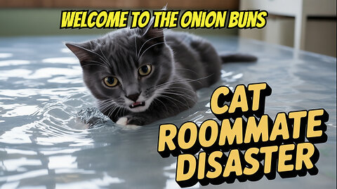Funny Beloved Pet Stories, The Worst Roommate Cat Story Ever!