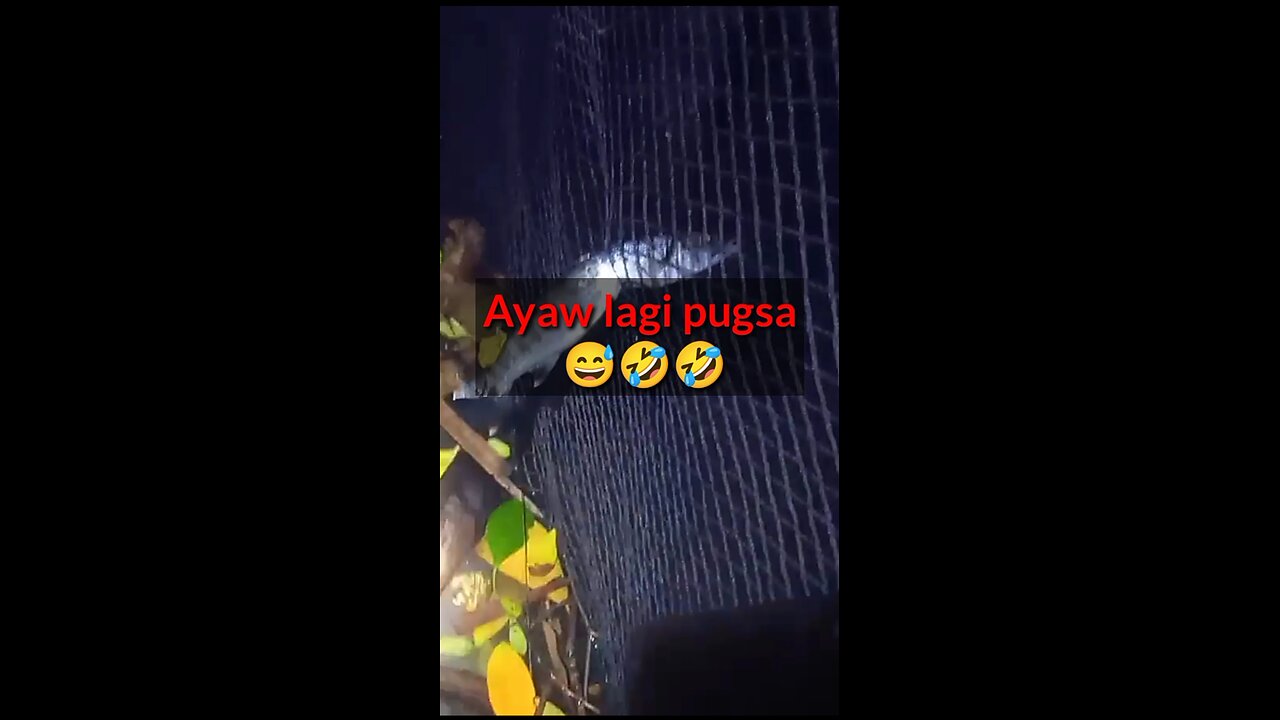 Ayaw lagi pugsa arun di ka masakitan