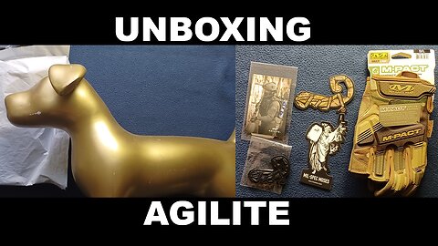 UNBOXING 212: AGILITE. Gloves, Stickers, T&E Team Reward Patch, and more!