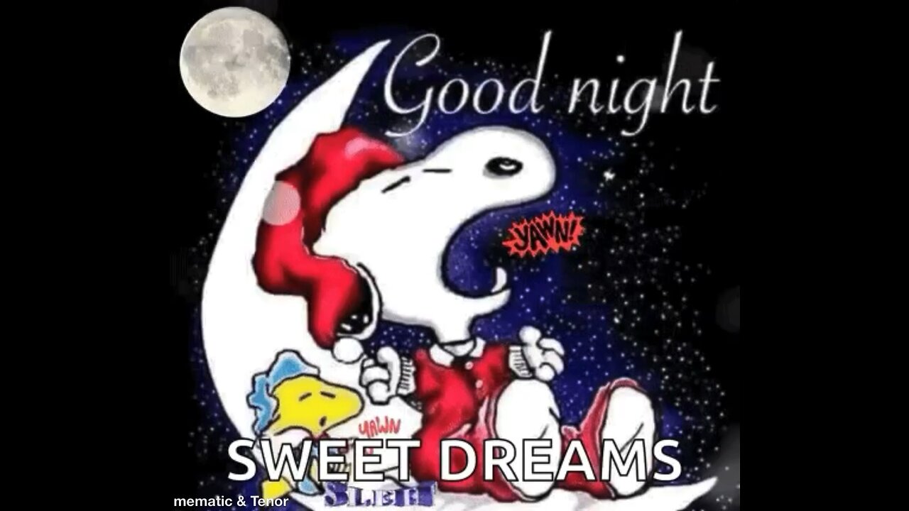 Good night & sleep dreams 😴💤🛌