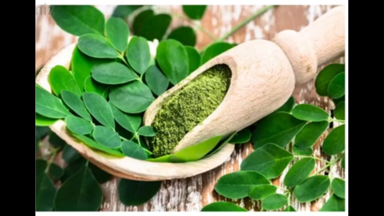 Health Benefits of Moringa