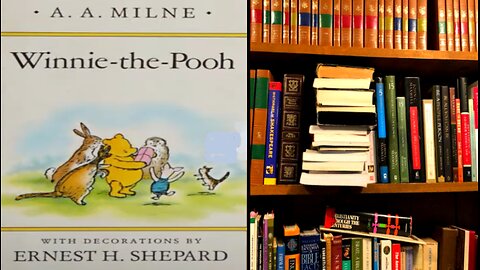 Winnie the Pooh chapter 3 the Wozzle