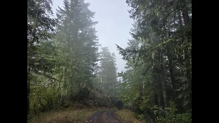 "Logging Roads of Oregon" Part one...