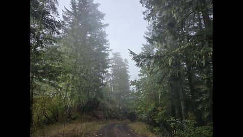 "Logging Roads of Oregon" Part one...