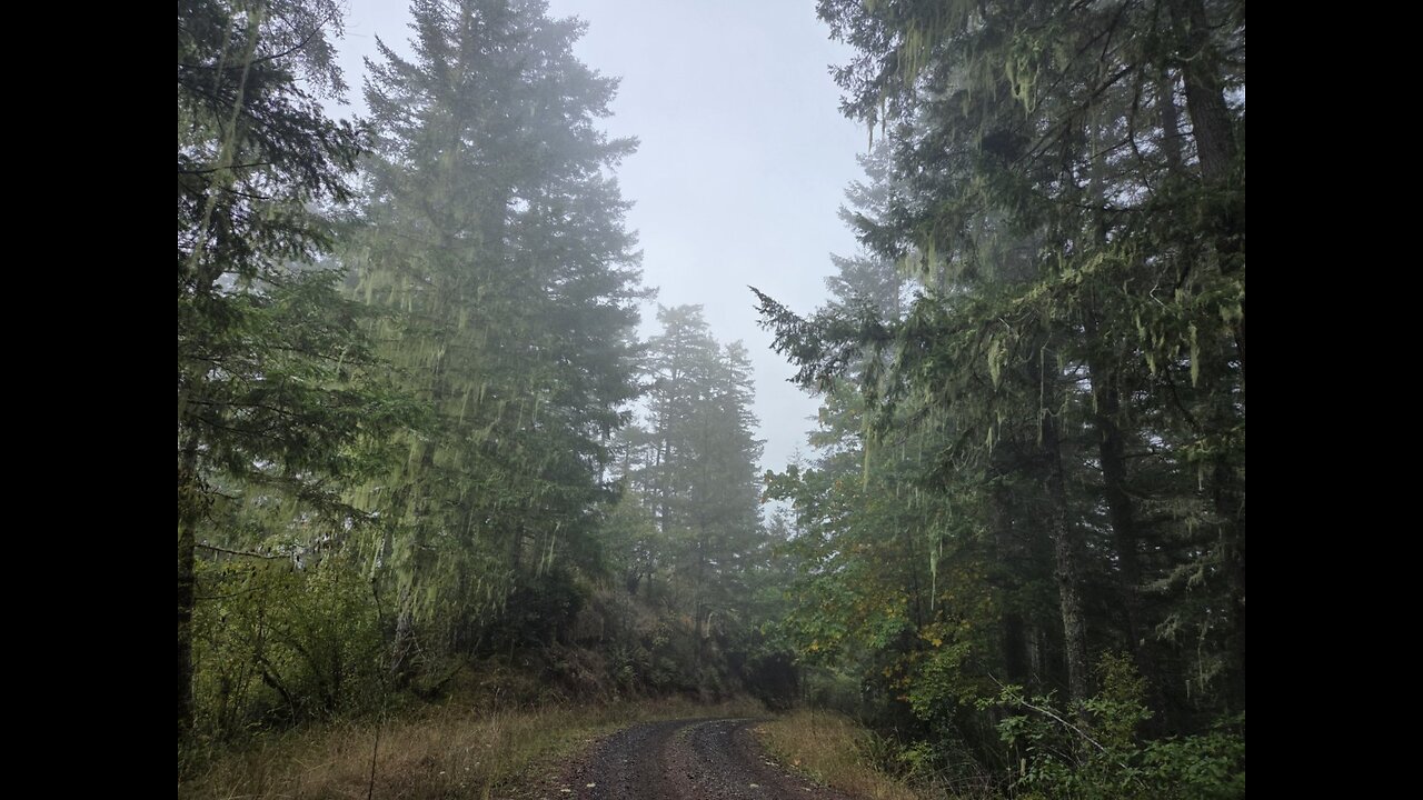 "Logging Roads of Oregon" Part one...