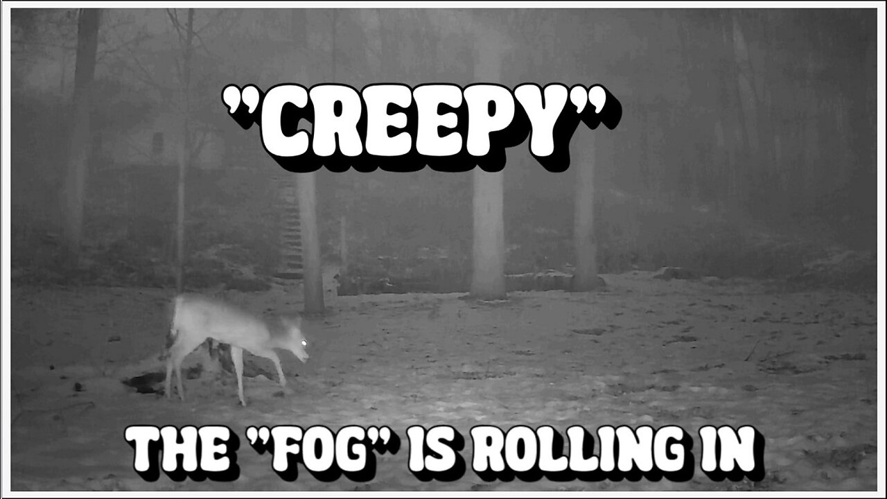 The "FOG", very Creepy!