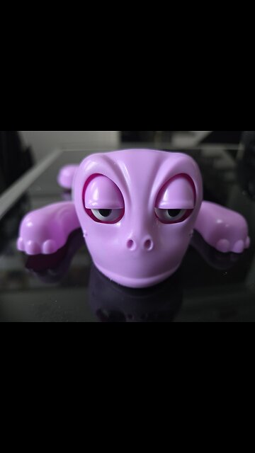 Lazy Turtle becomes angry