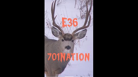 701Nation/GAT701 - E#36 - October 29th - 2025 - Powered by: LAUER AUTO REPAIR