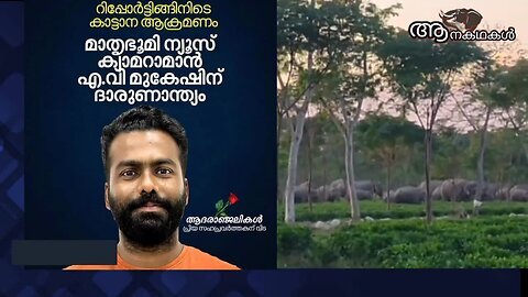 കാട്ടാനയുടെ ആക്രമണത്തിൽ മാതൃഭൂമി ക്യാമറമാൻ കൊല്ലപ്പെട്ടു _ Mathrubhumi cameraman killed by elephant