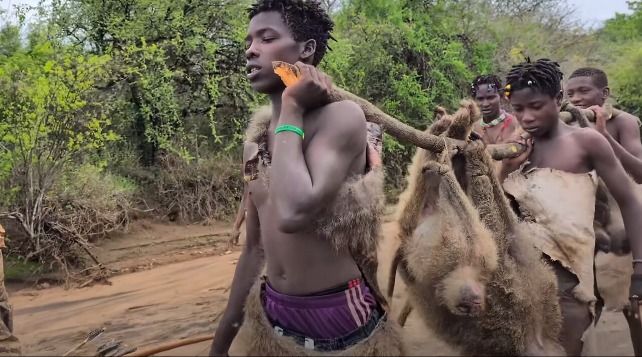 Eating Wild Baboon With Hadzabe tribe Hunt's.