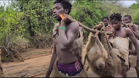 Eating Wild Baboon With Hadzabe tribe Hunt's.