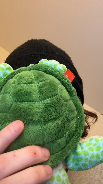 President Trump Criticizes Blackhawk Helicopter Altitude in Truth Social Post