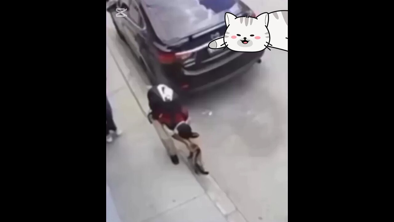 Meooow