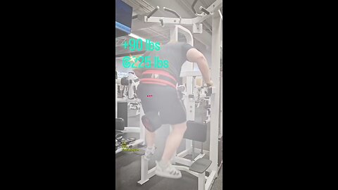 90lbs + 225lbs Weighted Dips (Lite) | #triceps #shorts #fitness