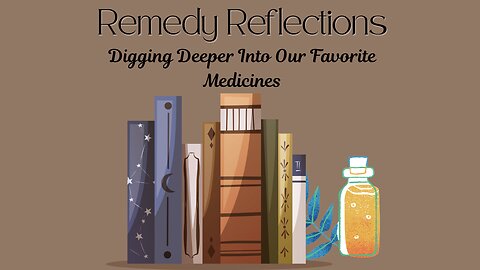 Remedy Reflections: Apis