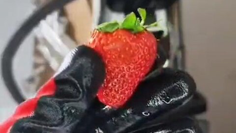 Got Strawberries? Strawberries Under A Microscope...