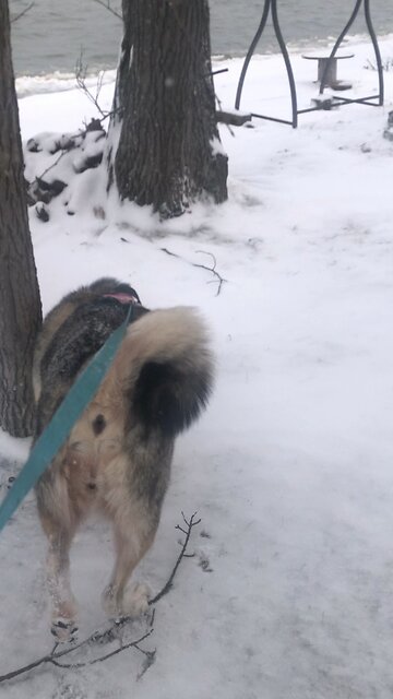 Friday January 3, You are not of the world