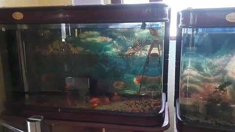 fish box