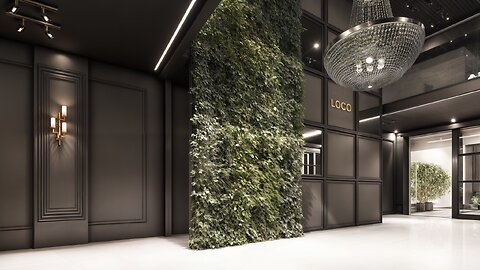 Luxury Black Interior Design in a 4×10m Store