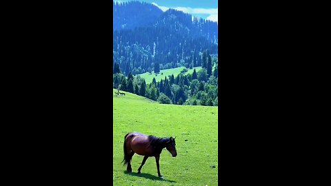 Beautiful places in the world 🌍
