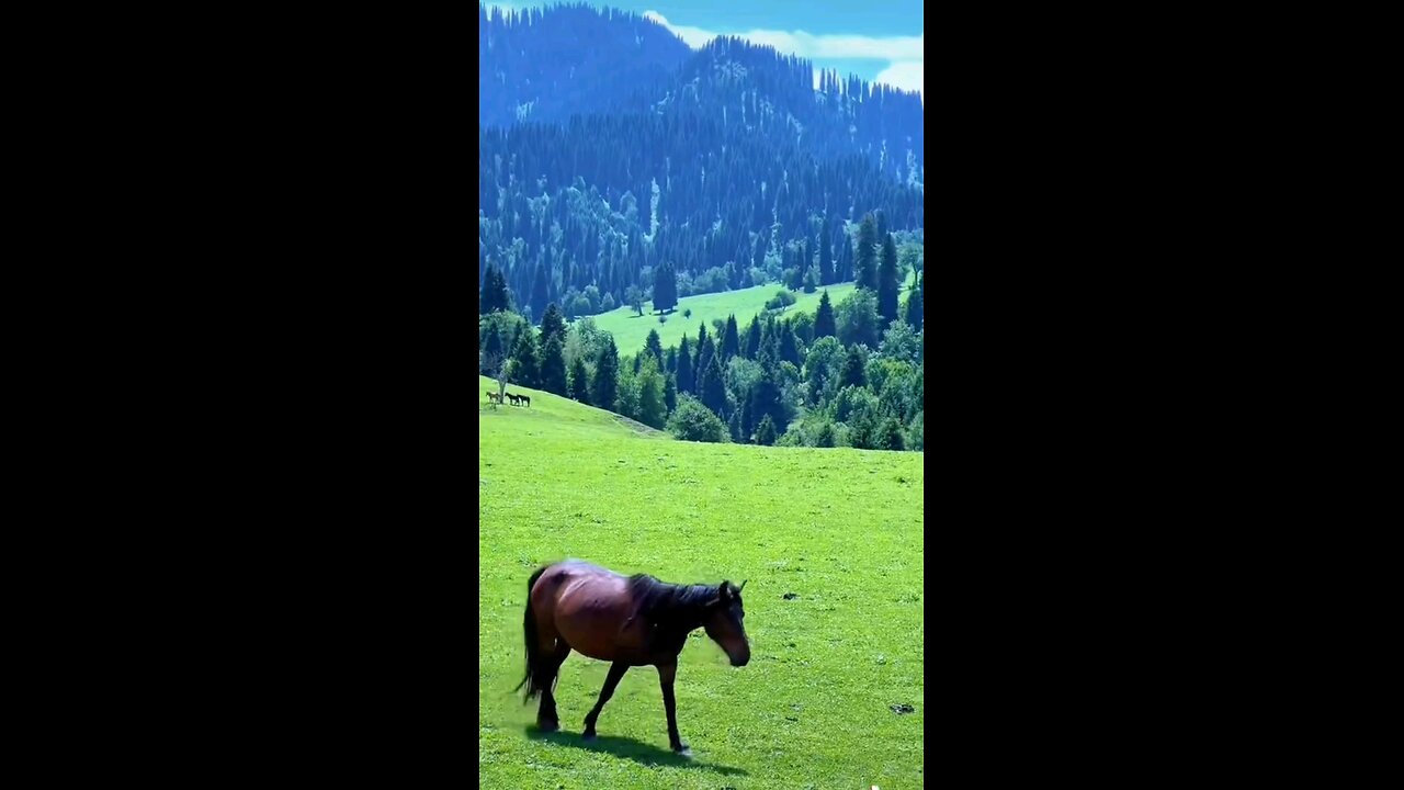 Beautiful places in the world 🌍