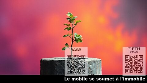 Le Cycle de l'Adversité