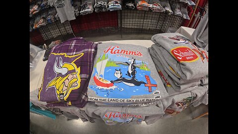 ICE in Minnesota Donald Trump the rise of the brown shirts