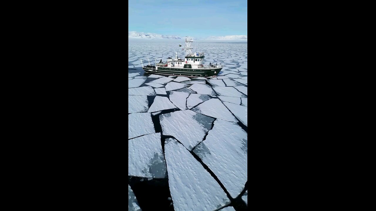 Ship in the frozen ice 🥶🚢 #Winter #Ocean #Ice #Adventure