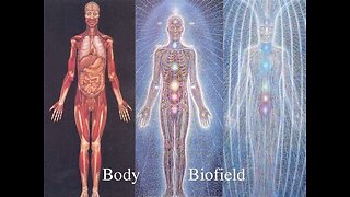 The Stolen Body Part: Exposing the Biofield Conspiracy