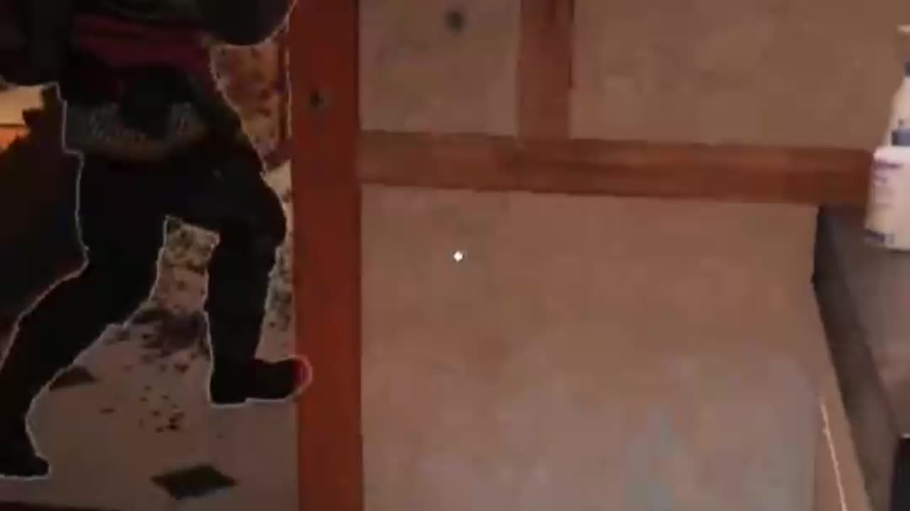 RainbowSixSiege Funny Moments