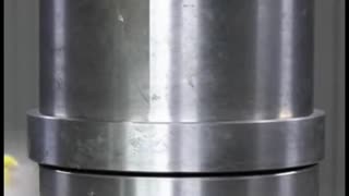 Bird vs hydraulic pressure machine