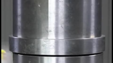 Bird vs hydraulic pressure machine