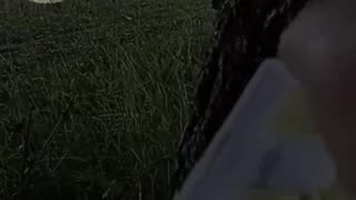 💥🔫 Ukraine Russia War | Partisans Use IEDs to Strike Russian Guard in Stavropol | RCF