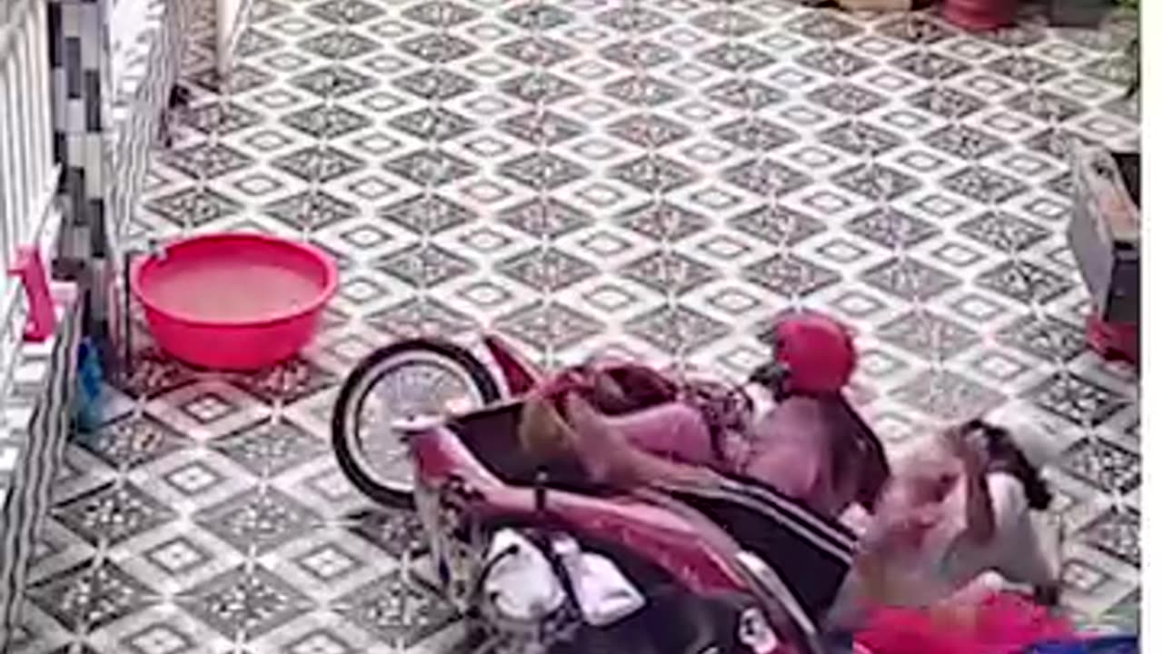 A Bumpy Ride Through Vietnam!