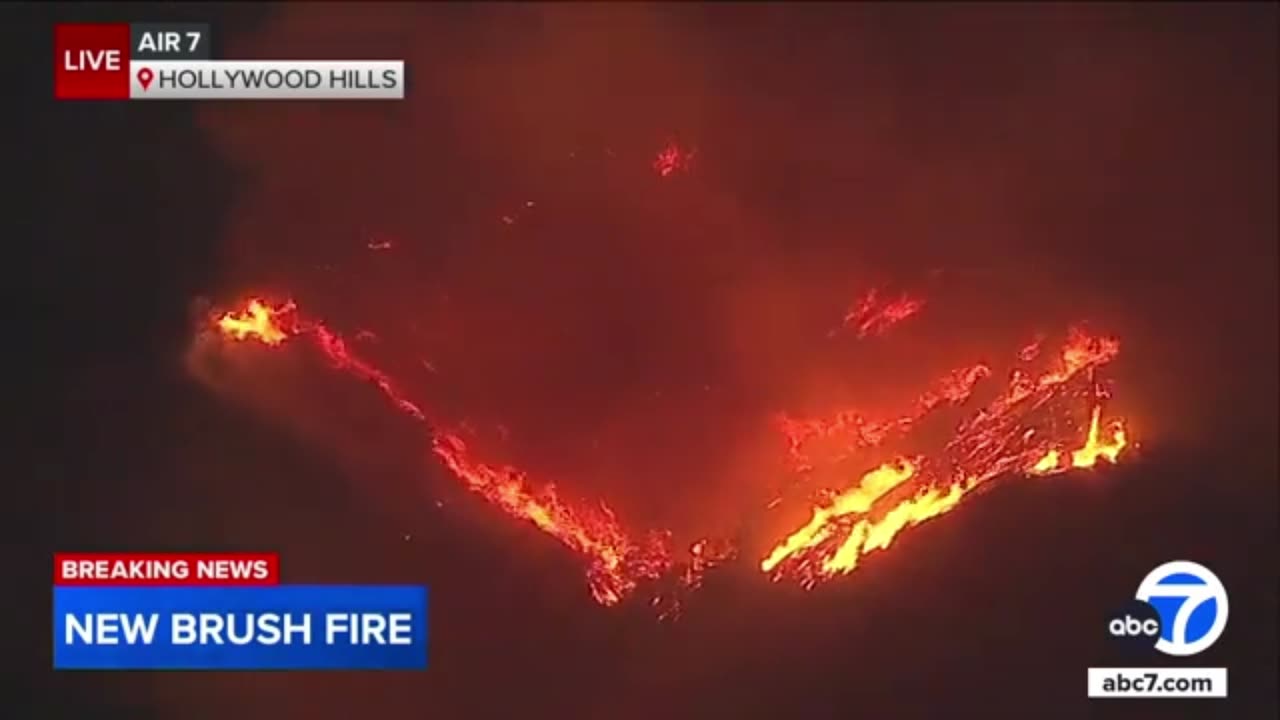 Brush fire breaks out in Hollywood Hills